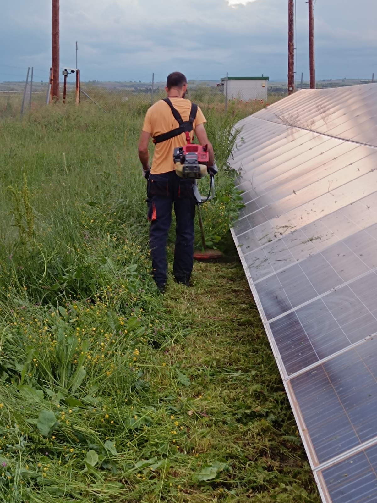 Εργάτης με χορτοκοπτικό πλάτης καθαρίζει βλάστηση δίπλα σε φωτοβολταϊκά πάνελ