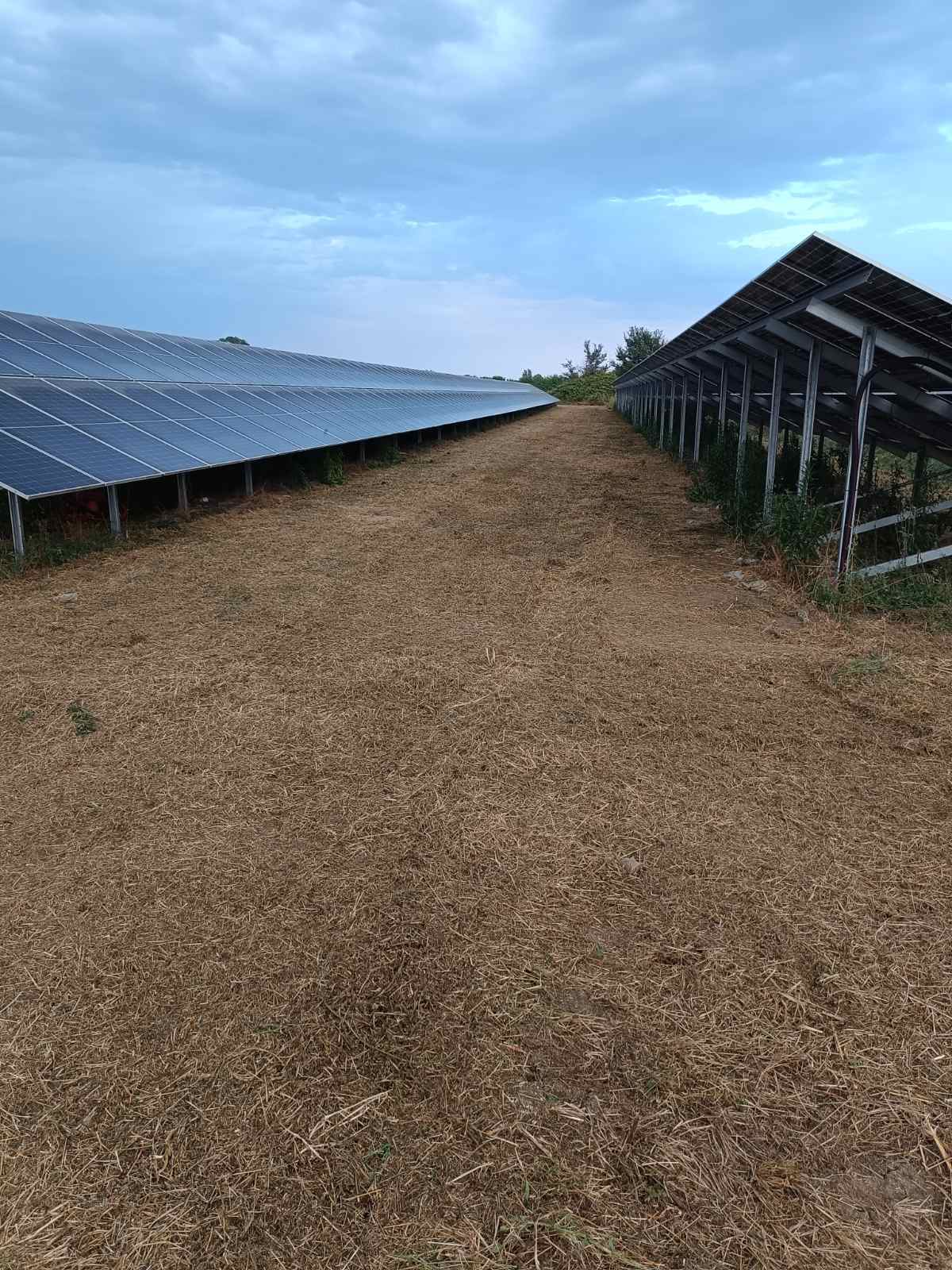 Καθαρισμένος χώρος μεταξύ σειρών φωτοβολταϊκών πάνελ μετά αποψίλωση