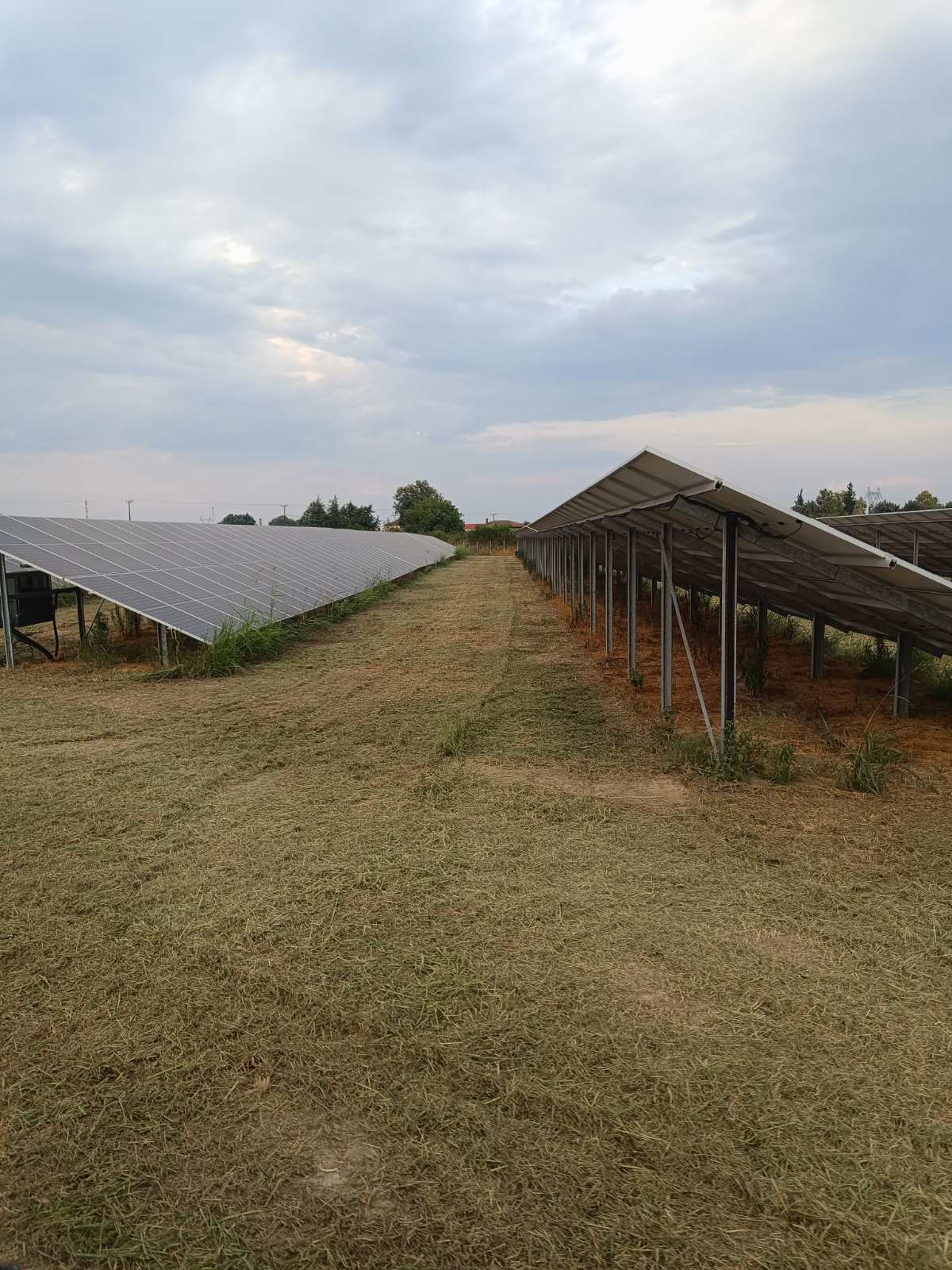 Σειρές φωτοβολταϊκών πάνελ με καθαρισμένη βλάστηση στην Πιερία
