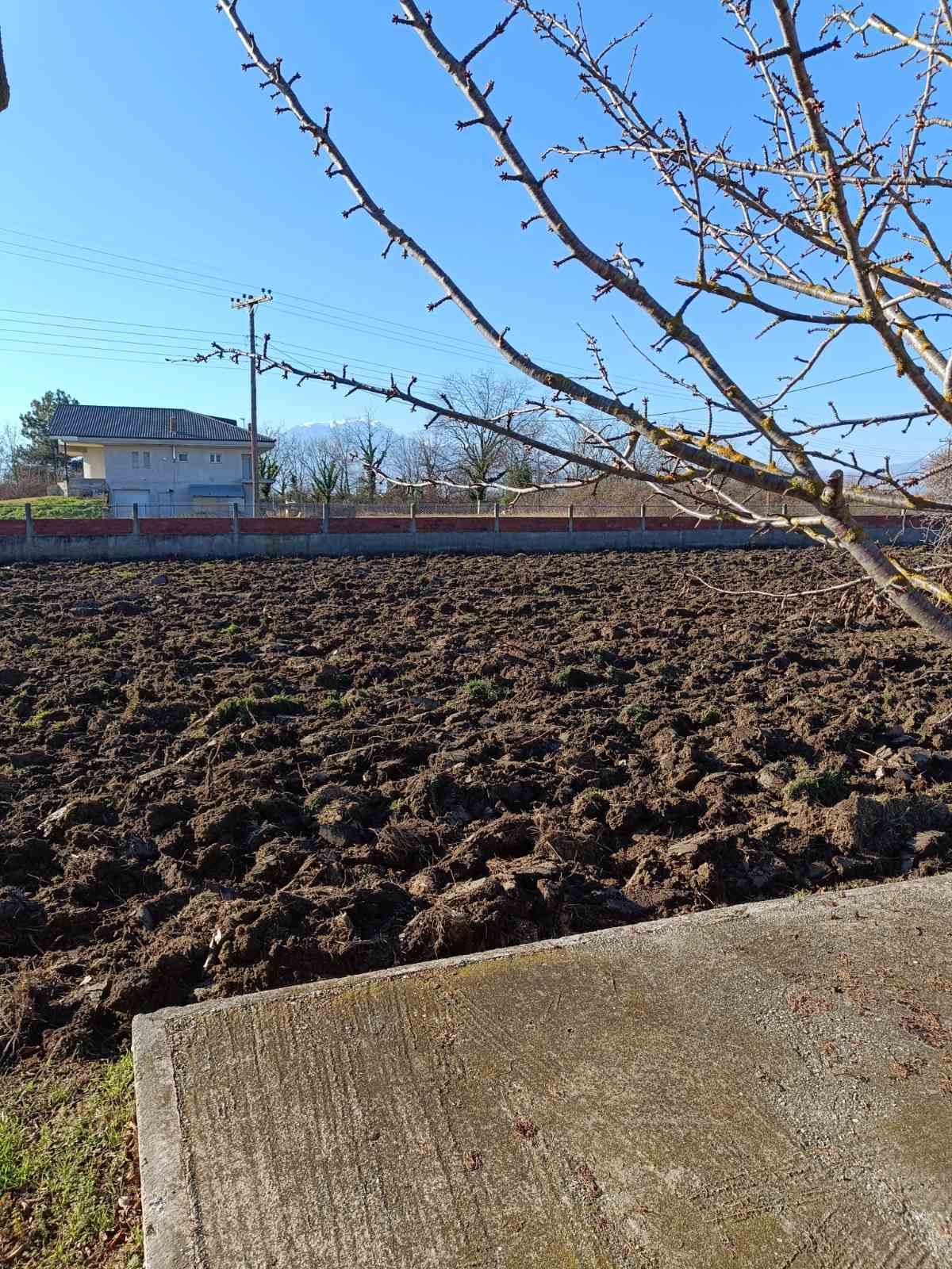 Φρεσκοοργωμένο χωράφι σε οπωρώνα με γυμνά δέντρα τον χειμώνα